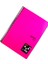 Flex A4 140 Yaprak Kareli Spiralli Plastik Kapak Defter 2