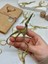 Kuş Desenli Metal Gold Renk Makas/söz Nişan Makası/kesme Makası 2
