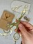 Kuş Desenli Metal Gold Renk Makas/söz Nişan Makası/kesme Makası 3