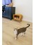 Kedi Evi Ahşap Retro Tv Dekoratif Kedi Evi Iç Mekan Kediler Için 2