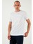 U.s. Polo % 100 Pamuk Regular Fit Bisiklet Yaka Logo Baskılı T Shirt Erkek T Shirt G081SZ0112105708 1