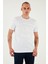 U.s. Polo % 100 Pamuk Regular Fit Bisiklet Yaka Logo Baskılı T Shirt Erkek T Shirt G081SZ0112105708 3