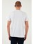 U.s. Polo % 100 Pamuk Regular Fit Bisiklet Yaka Logo Baskılı T Shirt Erkek T Shirt G081SZ0112105708 4