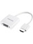 SWR1620A/93 HDMI To VGA Laptop - Pc Monitör Görüntü Converter Çevirici (Projeksiyon Uyumlu) 1