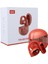 Novoo LW-T001 Ip x 4 Bluetooth 5.3 Kablosuz Kulaklık 4