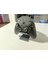 Xbox Kumandaları Için Stand (Seri x Veya S / One / 360) T4712511 1