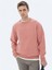 Pembe Bisiklet Yaka Baskılı Sweatshırt 1