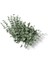 10/15 Adet Yapay Çiçekler Bebek Nefes Çiçeği Düğün Parti Ev Dekorasyonu Sahte Gypsophila Çiçek Buketleri Dıy 0117-03 / Boyut10 Adet (Yurt Dışından) 1