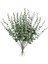 10/15 Adet Yapay Çiçekler Bebek Nefes Çiçeği Düğün Parti Ev Dekorasyonu Sahte Gypsophila Çiçek Buketleri Dıy 0024 / Boyut15 Adet (Yurt Dışından) 1