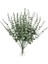 10/15 Adet Yapay Çiçekler Bebek Nefes Çiçeği Düğün Parti Ev Dekorasyonu Sahte Gypsophila Çiçek Buketleri Dıy 0024 / Boyut15 Adet (Yurt Dışından) 1