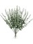 10/15 Adet Yapay Çiçekler Bebek Nefes Çiçeği Düğün Parti Ev Dekorasyonu Sahte Gypsophila Çiçek Buketleri Dıy 0024 / Boyut15 Adet (Yurt Dışından) 1