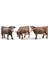 İnek - BR02308 (1 ADET) 1