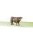 Boğa - BR02309 (1 ADET) 2