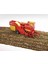 Grımme Se 75-30 Patates Toplama Aracı ve Patatesler BR02130 4