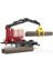 Yükleme Vinçli Kütük Taşıyan Römork & Kütükler BR02252 4