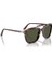 PO0203S 24 31 55 Unisex Güneş Gözlüğü 4