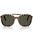 PO0203S 24 31 55 Unisex Güneş Gözlüğü 5