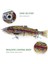 7.5 In Trout Balık Yakalama S Yapışkan Batacak Tuzak (Yurt Dışından) 3