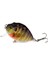6 cm 15 G Mini Sallanan Balık Ucunu Çeken Kürek Ucunu 说明：“wobbler Fishing Lure”翻译为“sallanan Balık Ucunu” ，“crankbait”翻译为“kürek Ucunu” ，但在土耳其语钓鱼领域也可能有更专业常见的词汇，这里是较为直接的翻译。 (Yurt Dışından) 1