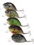 6 cm 15 G Mini Sallanan Balık Ucunu Çeken Kürek Ucunu 说明：“wobbler Fishing Lure”翻译为“sallanan Balık Ucunu” ，“crankbait”翻译为“kürek Ucunu” ，但在土耳其语钓鱼领域也可能有更专业常见的词汇，这里是较为直接的翻译。 (Yurt Dışından) 4