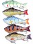 Biyyonik Balık Yakalama Üstü 5 Parça Gerçekçi Crankbait (Yurt Dışından) 4