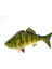 Biyonik Çok Eğimli Balık Yakalama Uydurması Canlımsı Krank Bait 说明：“crankbait”在土耳其语里没有完全对应的单一词汇，这里采用了直译加解释的方式“krank Bait”以传达其意思。在土耳其渔具相关的专业语境中，“krank Bait”这种表达也逐渐被接受和使用。 (Yurt Dışından) 1