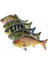 Biyonik Çok Eğimli Balık Yakalama Uydurması Canlımsı Krank Bait 说明：“crankbait”在土耳其语里没有完全对应的单一词汇，这里采用了直译加解释的方式“krank Bait”以传达其意思。在土耳其渔具相关的专业语境中，“krank Bait”这种表达也逐渐被接受和使用。 (Yurt Dışından) 5