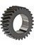 31171681 Massey Ferguson Krank Dişlisi 1