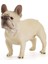 Sarı Stil Ev Için Boyalı Canlı Detaylar Pvc Bulldog Yavru Duran Figür Heykeli Güveç Heykel Büstü (Yurt Dışından) 1