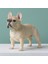 Sarı Stil Ev Için Boyalı Canlı Detaylar Pvc Bulldog Yavru Duran Figür Heykeli Güveç Heykel Büstü (Yurt Dışından) 3
