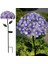 Güneş Enerjili Ortanca Çiçeği Bahçe Balkon Teras Dekoratif LED Aydınlatma Solar Hydrangea Light 3