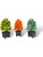 3lü Set Yapay Çiçek Bonsai Ağacı Kozalak Model Dekoratif Yapay Ağaç Bonzai 30*15 cm Siyah Kare Saksıda 1