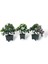 3lü Set Yapay Çiçek Bonsai Ağacı Çiçekli Model Dekoratif Yapay Ağaç Bonzai 30*15 cm Siyah Kare Saksıda 1
