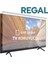 Regal 70R66QA11 Tv Ekran Koruyucu - Regal 70" Inç Ekran Smart LED Koruyucu 1