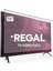Regal 70R66QA11 Tv Ekran Koruyucu - Regal 70" Inç Ekran Smart LED Koruyucu 2