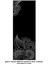 Plates Matı - Plates Minderi - Egzersiz Minderi - Yoga Matı - Dijital Baskı 160 cm x 60 cm 1