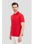Nefti T-Shirt 4