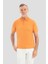 Nefti T-Shirt 1