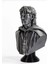 Frodo Büst Yüzüklerin Efendisi Lort Of The Rings 10 cm 3