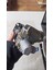Debriyaj Güçlendiri Ci Havalı Debriyaj Merkezi Tf 2502 Oem No : 970 051 102 0 Otomatik Parçalar Iletim Sistemi Debriyaj Servo 970 051 102 0 Pener 1604ZA 9700511020 5