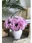 Yapay Ortanca Çiçeği Pembe 45 cm 7 Dal 2