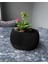 Su Hazneli Dekoratif Modern Saksı 1