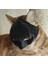 Siyah Batman Kedi Maske - Giyilebilir Kedi Maskesi Evcil Hayvan Maskesi 3
