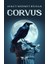 Corvus 1