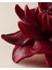 Petal Biblo - Kırmızı 3