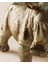 Bonheur Biblo - Gold 4