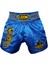 Leon Dragon Muay Thai Ve Kick Boks Şortu Mavi Byl1004bl 3