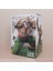 Dragon Ball Gk Çömelen Kolsuz Tien Shinhan 25CM (Yurt Dışından) 2