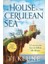 The House In The Cerulean Sea: Tiktok Made Me Buy It! 1