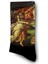 Venusun Doğuşu Çorap - Boticelli - Unisex 3